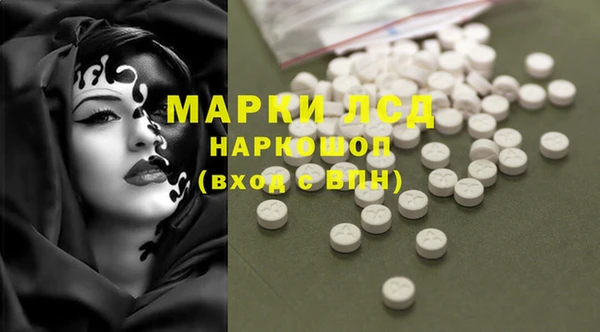 прущие грибы Лихославль